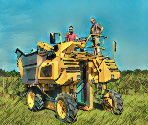 cider-creek-wine-collab