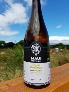 maui dogfish head Liquid Breadfruit Ale