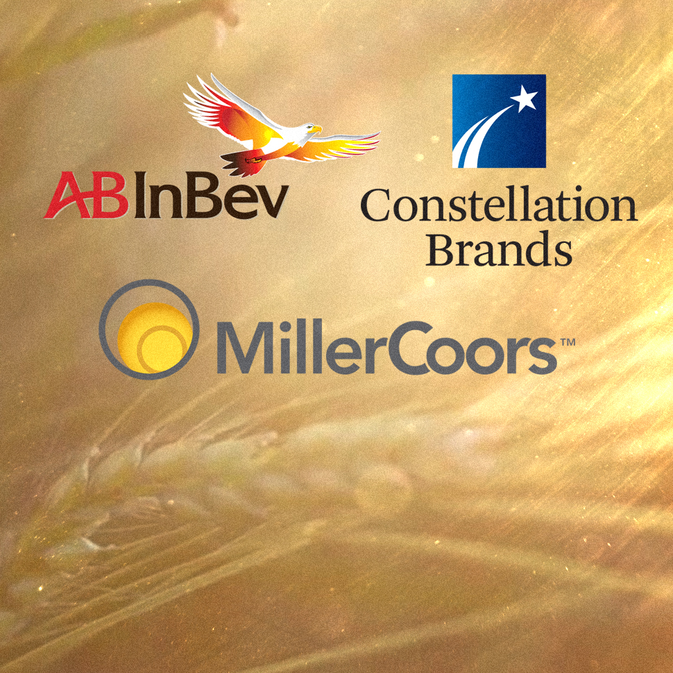 Executives Discuss High End Beer Segment at Beer Insights Seminar