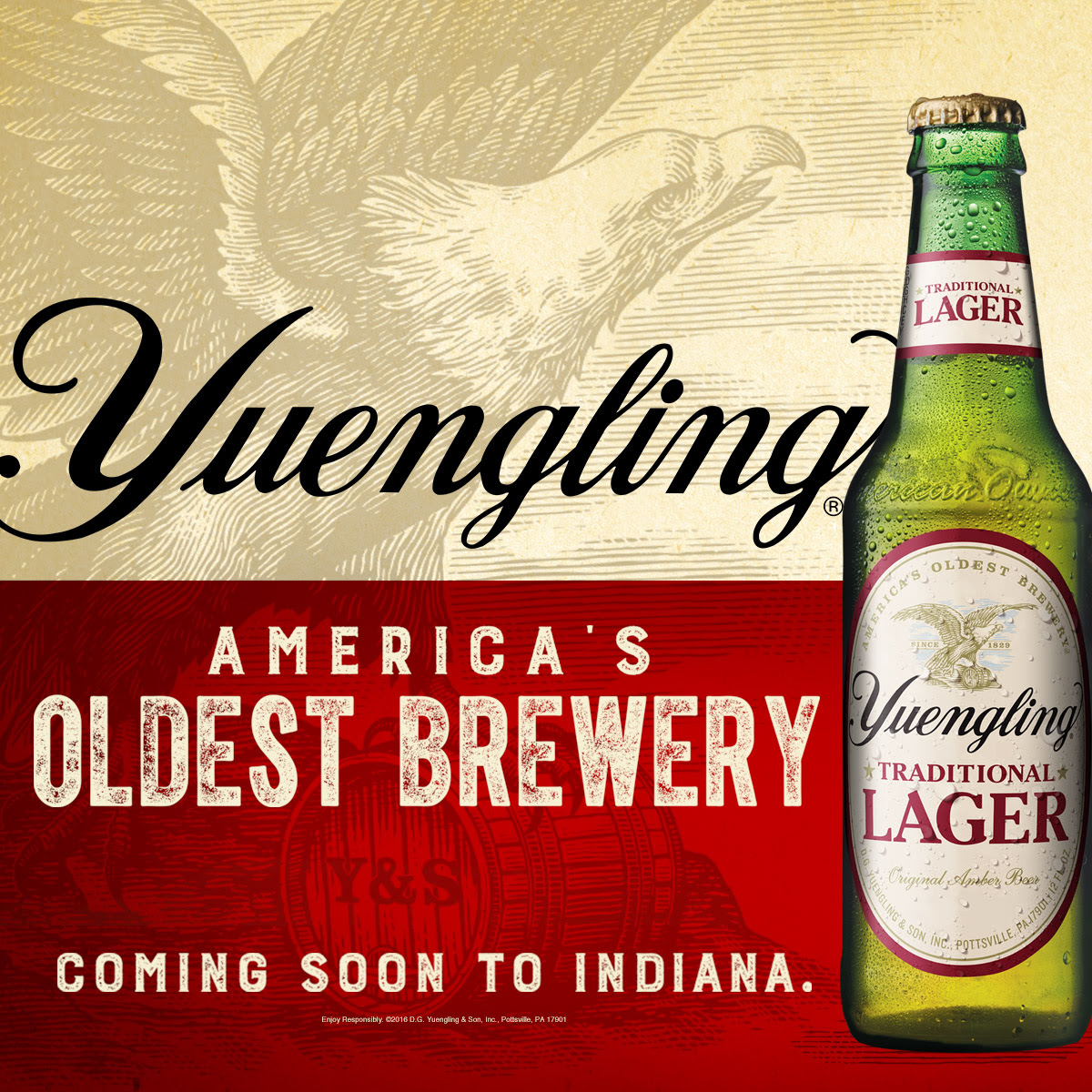 Yuengling Expands Distribution To Indiana Brewbound   Yuengling Indiana 