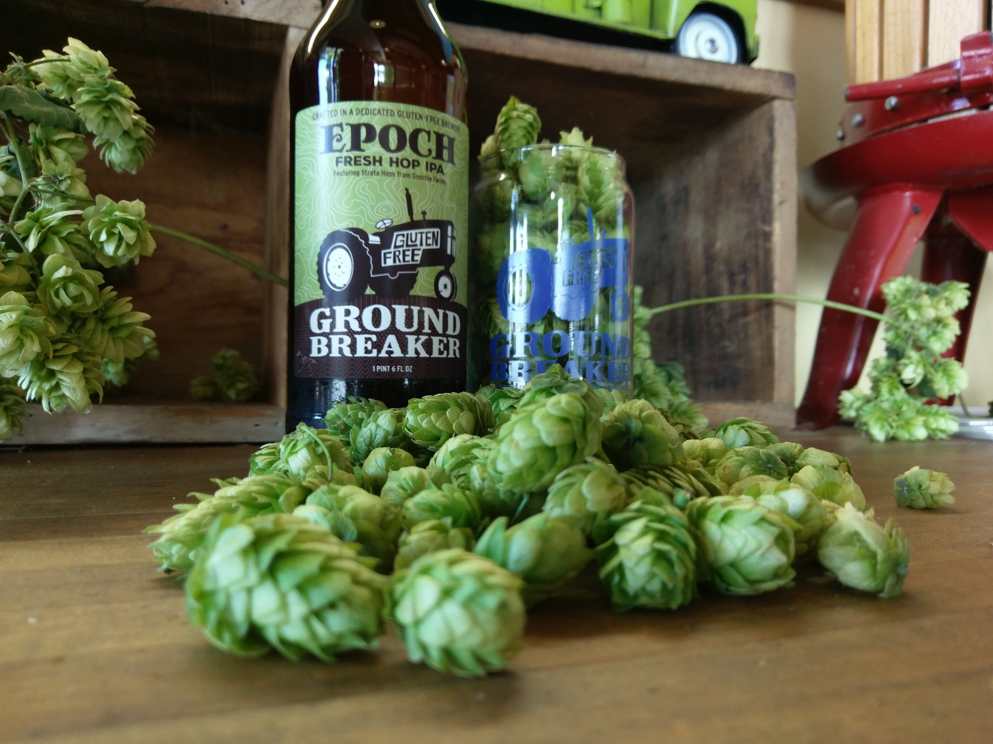 Ground Breaker to Release 2 Fresh Hop Beers Brewbound