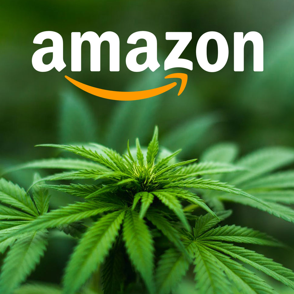 Beer Execs Discuss Cannabis at Beer Marketer’s Insights