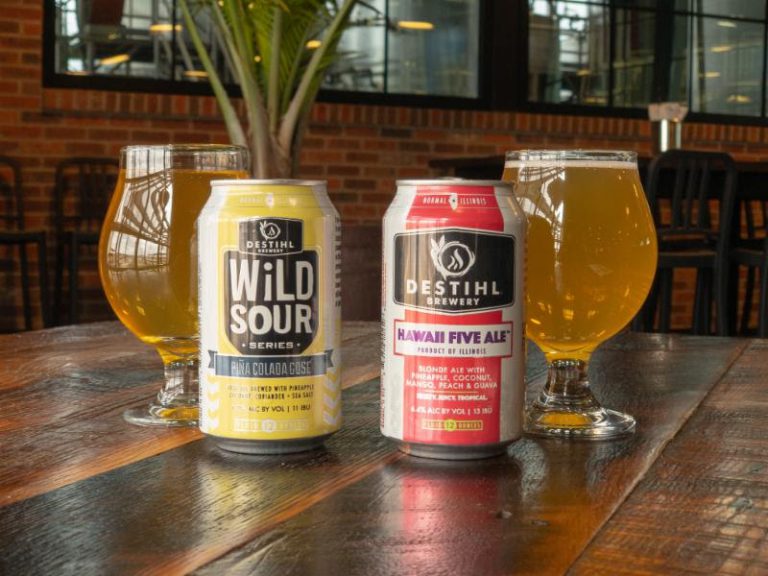 Destihl Brewery Releases PiñaColada Gose and Hawaii Five Ale Brewbound