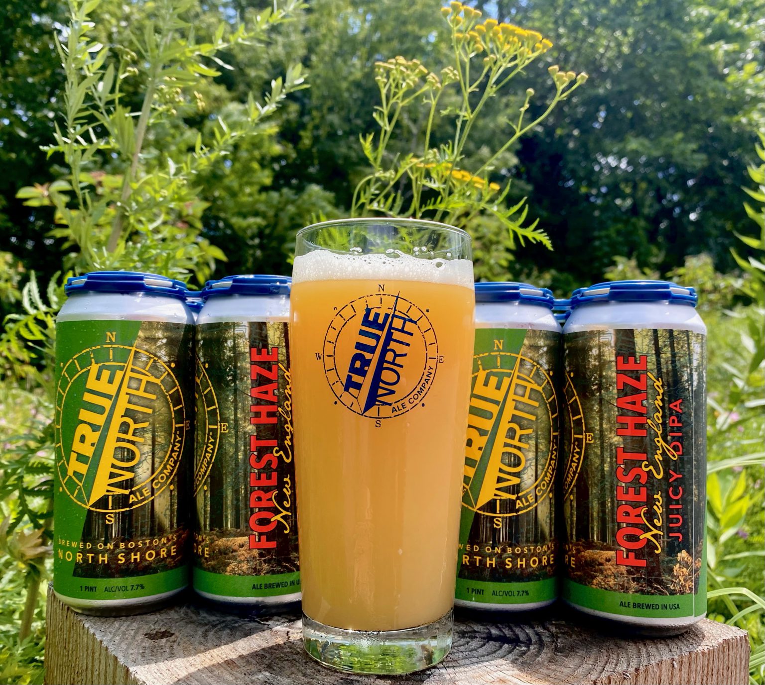 True North Ale Company Launches Forest Haze Juicy Double IPA Brewbound