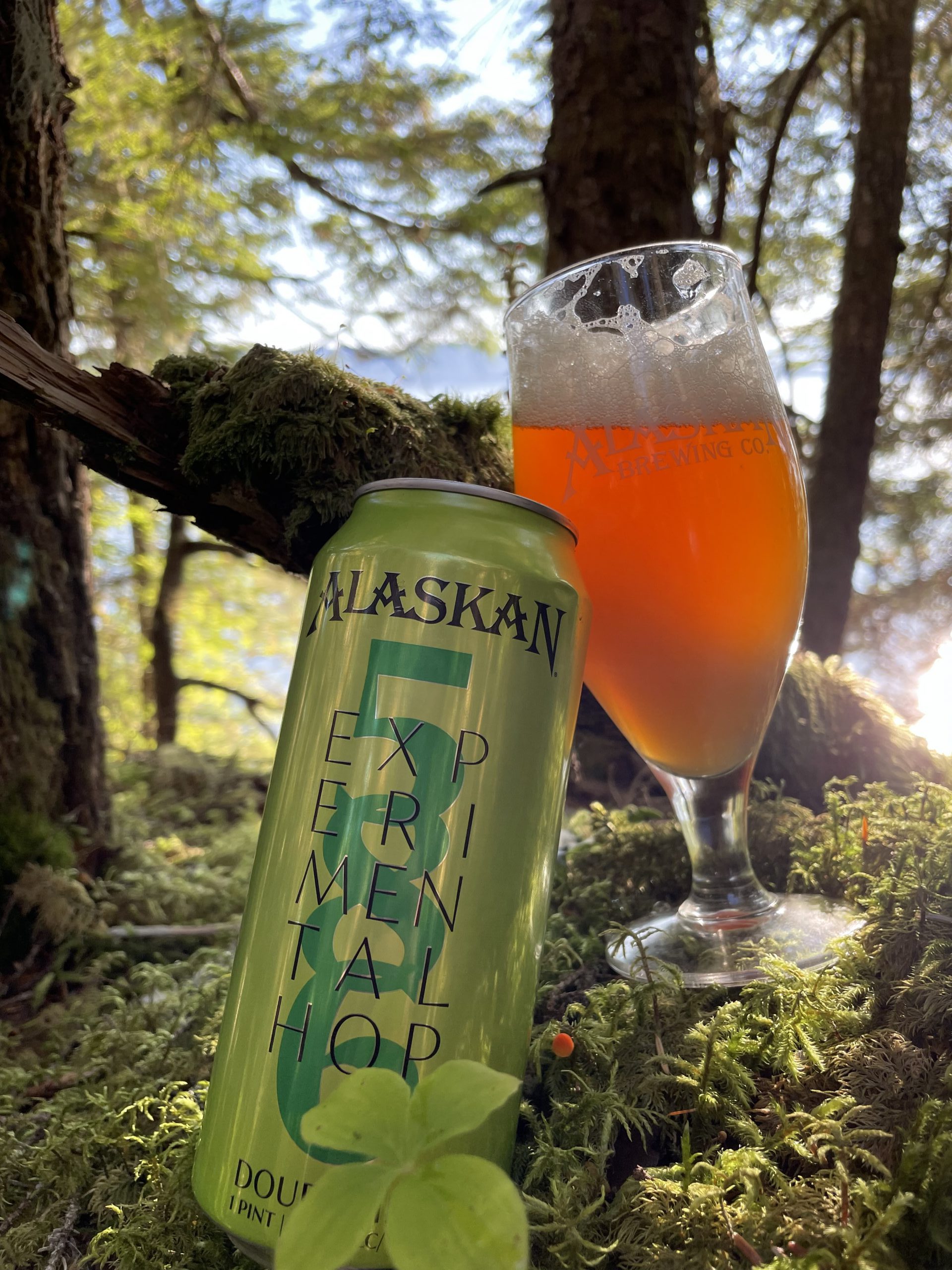 Alaskan Brewing Company Release Experimental 586 Double IPA Brewbound