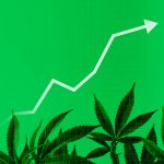 NIQ: THC Beverages Hit $239M in Mainstream Retail as Half of Adults Interested in Trying