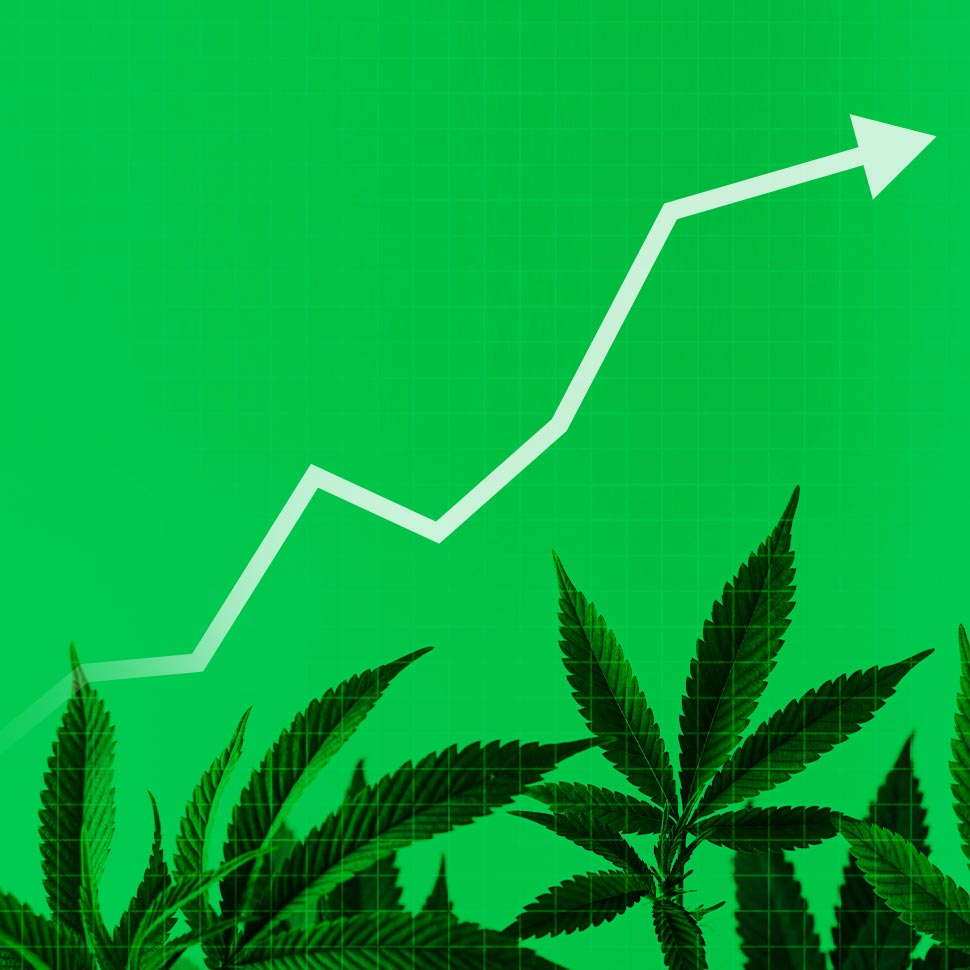 NIQ: THC Beverages Hit $239M in Mainstream Retail as Half of Adults Interested in Trying