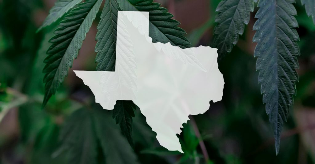 Texas Gov. Signs Executive Order to Create Legal Hemp Framework