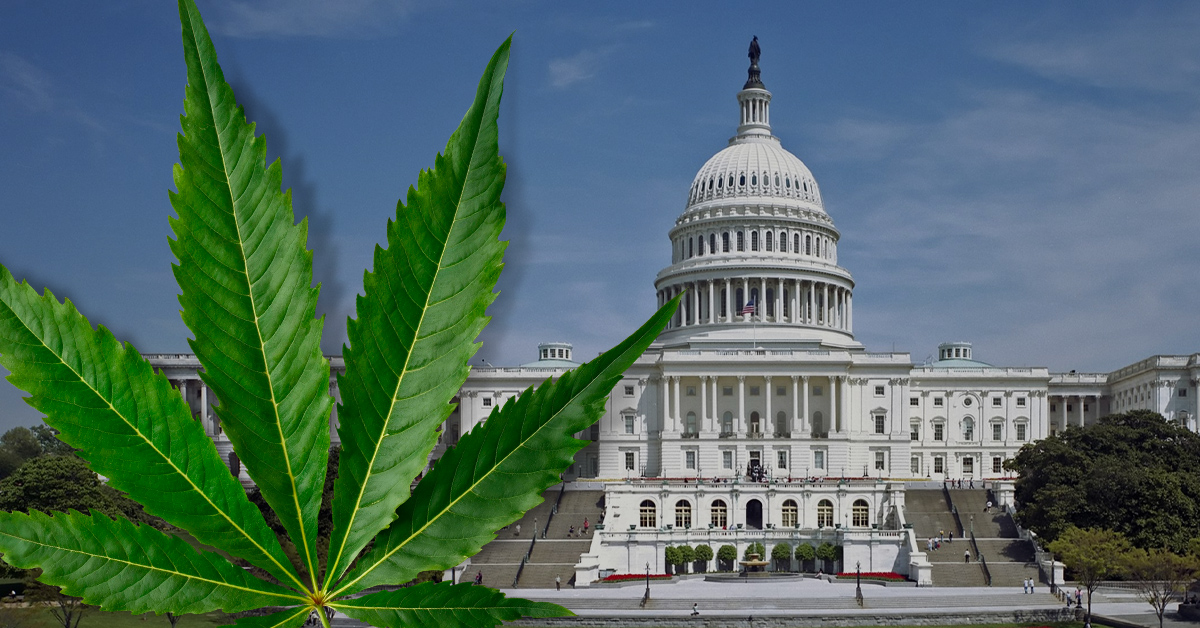 Attorneys General Seek Federal Ban of Intoxicating Hemp Products