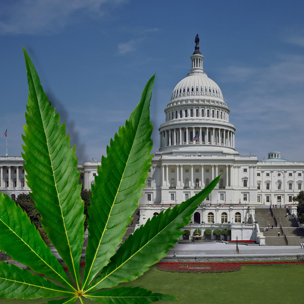 Beer Institute Joins Bev-Alc Trade Groups In Call To Ban Intoxicating Hemp Drinks