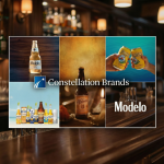 Constellation Seeing Bright Spots in On-Premise and Independent Channels