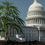 Wholesalers, Retailers Join Hemp Reform Effort; New Bill Seeks CBD Limits