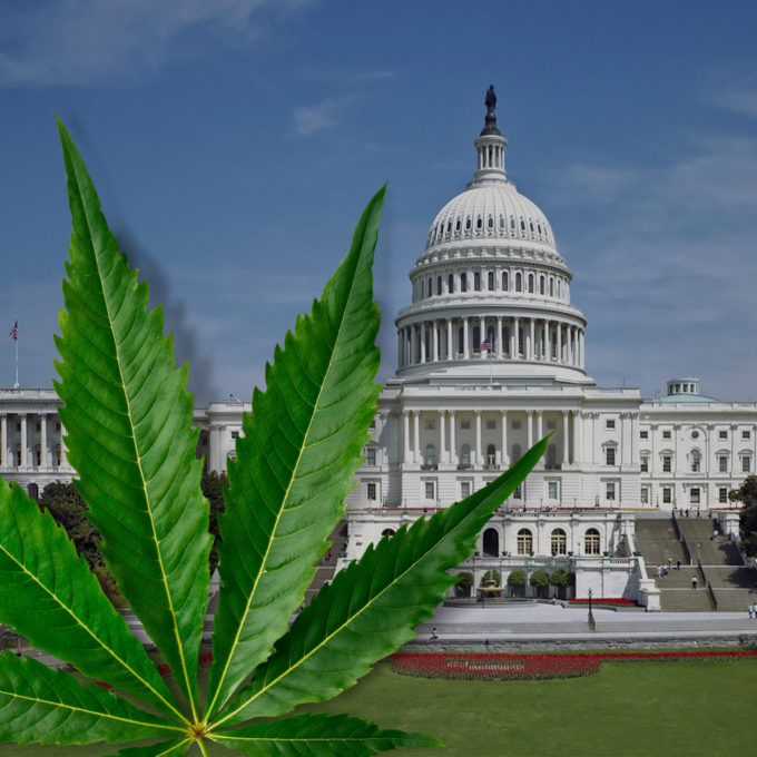 Another New Bill to Regulate Legal Hemp Beverages Goes to Capitol Hill